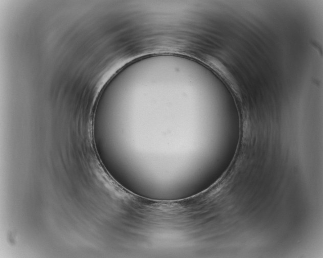 X0000102261340200808011356