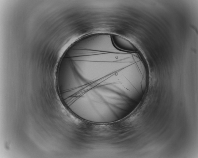 X0000102261341200808011356