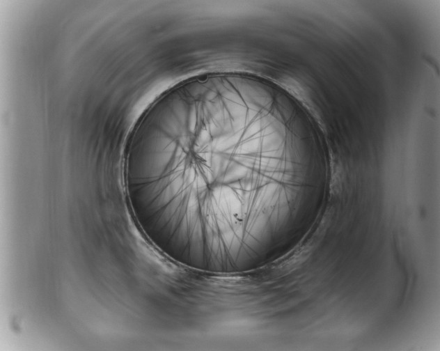 X0000102261342200808011356