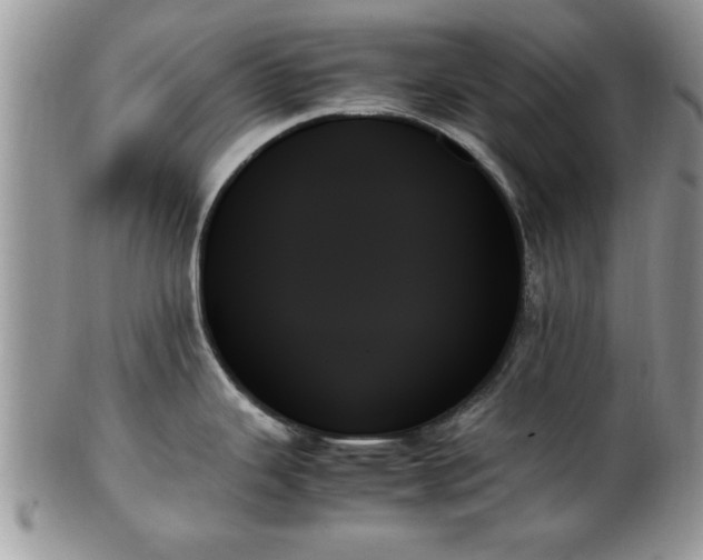 X0000102261343200808011356