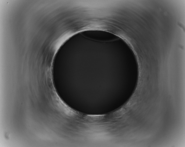 X0000102261344200808011356