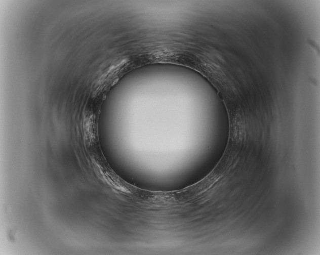 X0000102261346200808011355