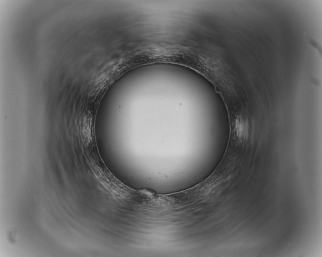 X0000102261348200808011355