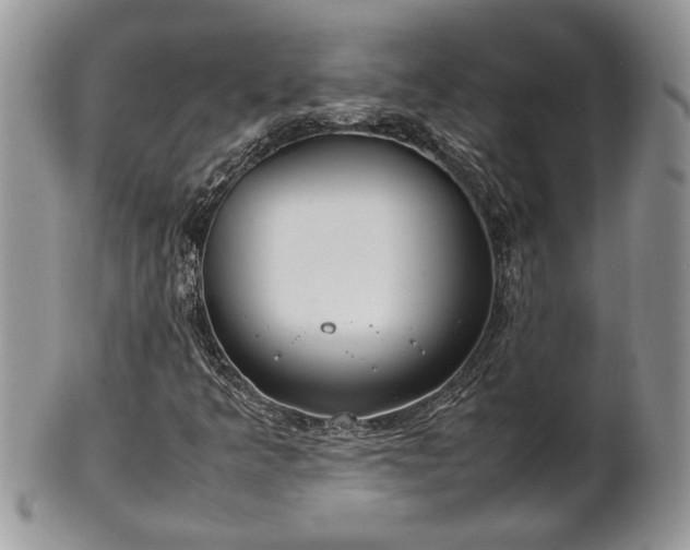 X0000102261349200808011355