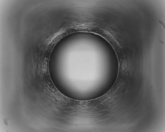 X0000102261350200808011355