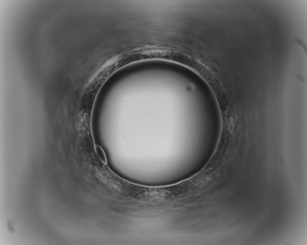 X0000102261351200808011355