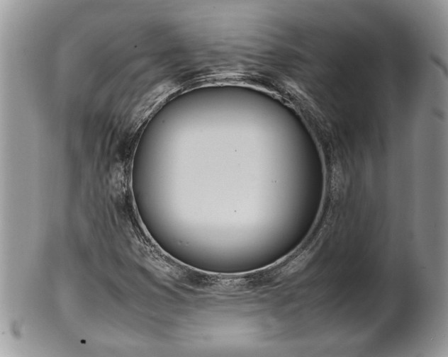 X0000102261353200808011355