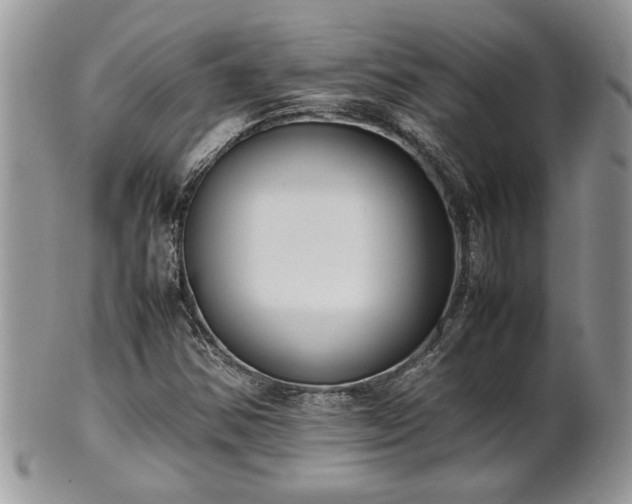 X0000102261354200808011355