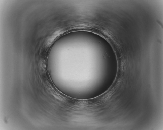 X0000102261355200808011355