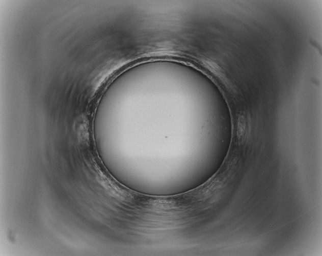 X0000102261356200808011355