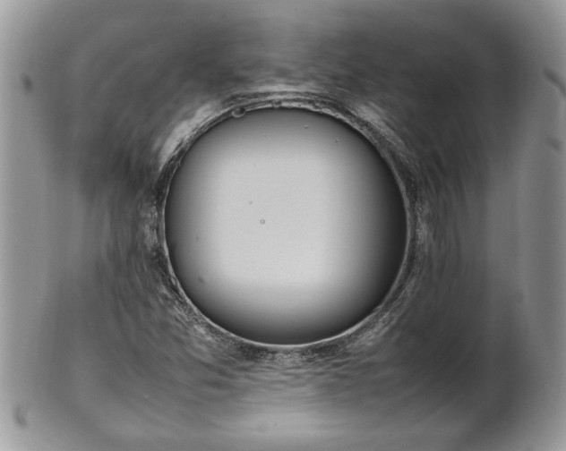 X0000102261357200808011355