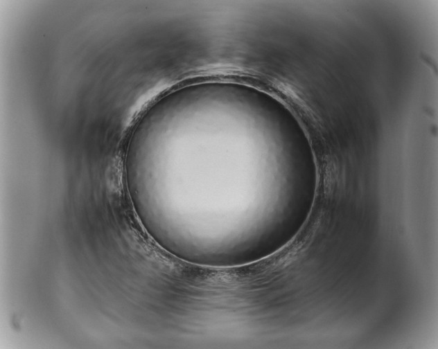 X0000102261358200808011355