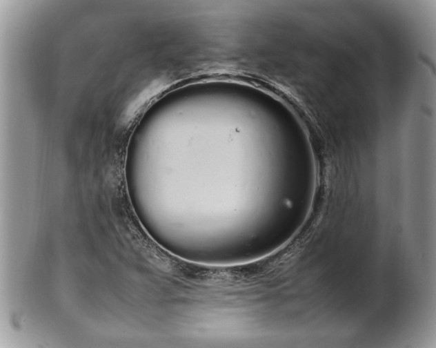 X0000102261359200808011355