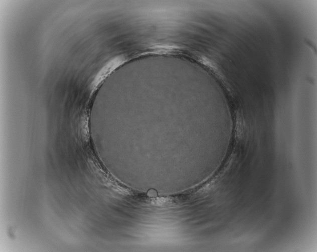 X0000102261362200808011355