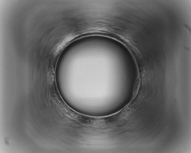 X0000102261363200808011355