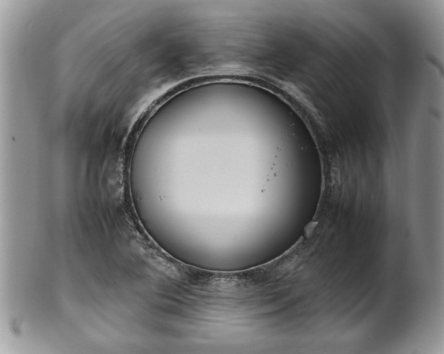 X0000102261364200808011355