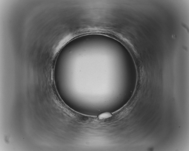 X0000102261365200808011355