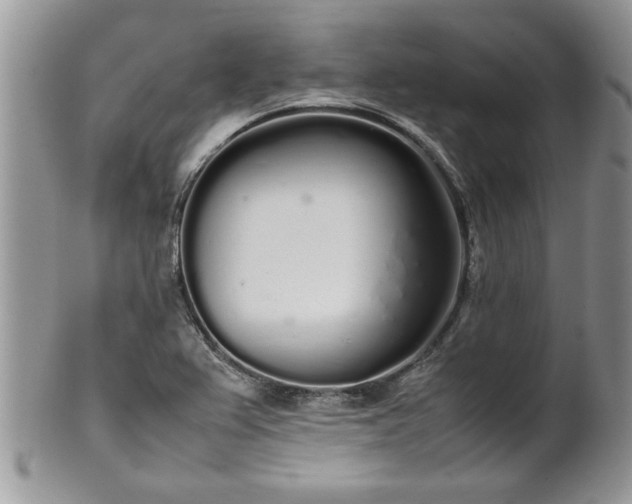 X0000102261367200808011355