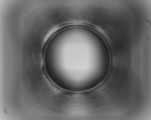 X0000102261368200808011355