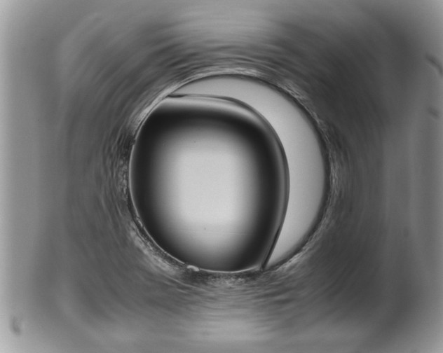 X0000102261369200808011355