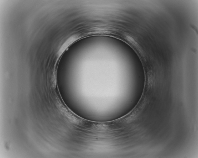 X0000102261370200808011355