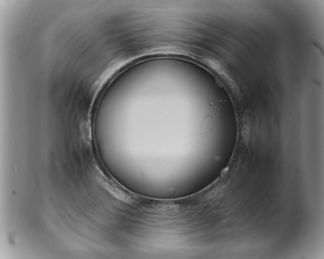 X0000102261372200808011355