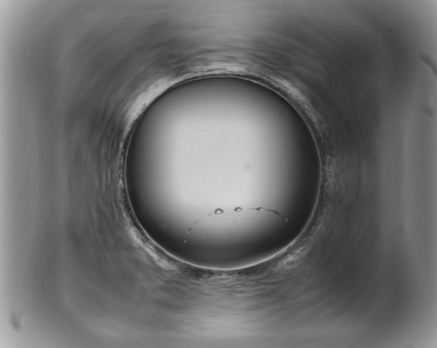 X0000102261373200808011355