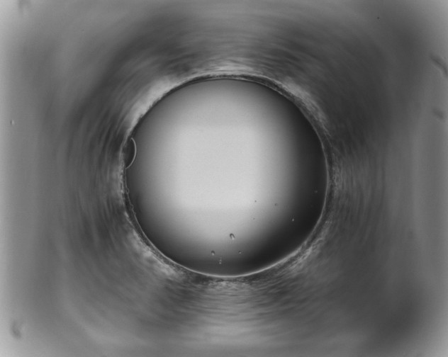 X0000102261374200808011355