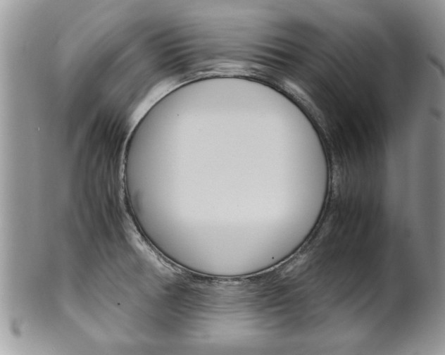 X0000102261378200808011354