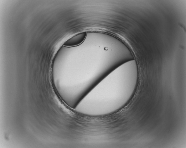 X0000102261379200808011354