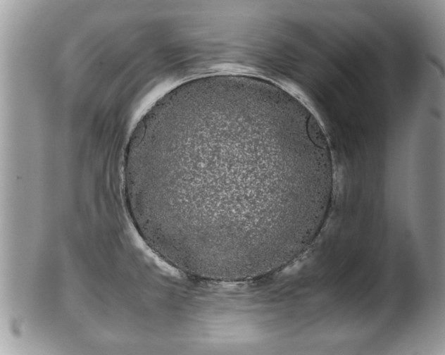 X0000102261381200808011354