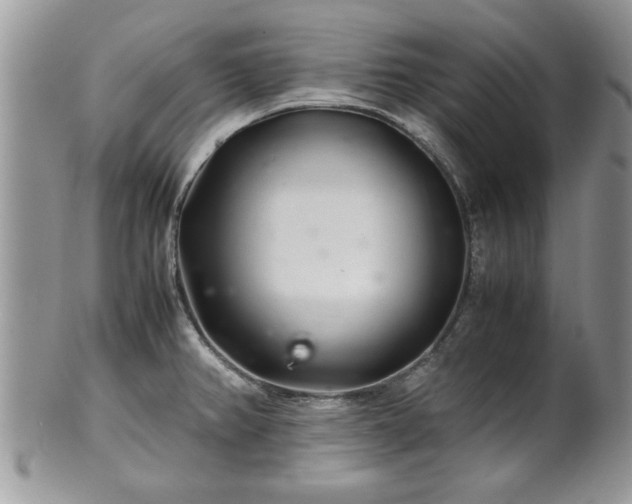 X0000102261382200808011354