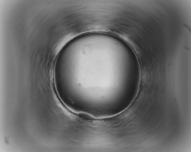 X0000102261383200808011354