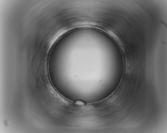 X0000102261384200808011354