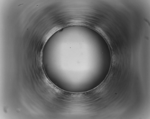 X0000102261386200808011354