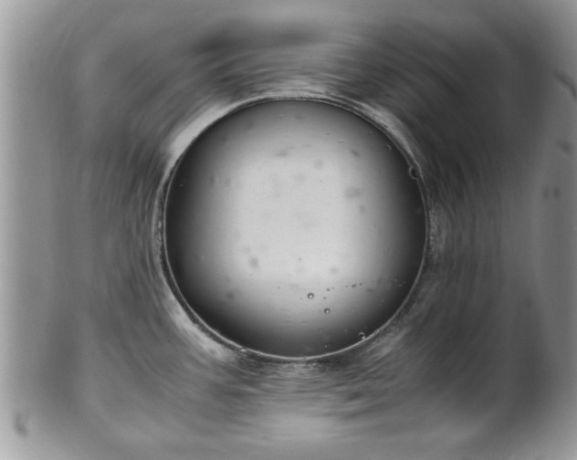 X0000102261387200808011354