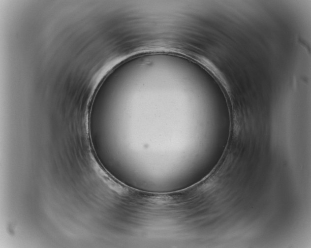 X0000102261388200808011354