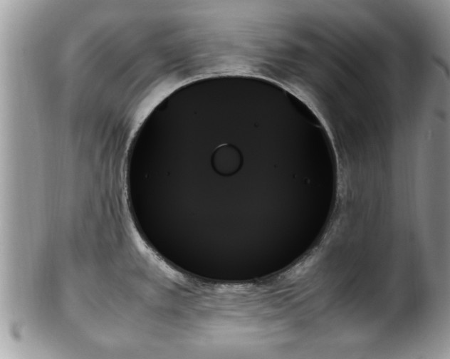 X0000102261389200808011354