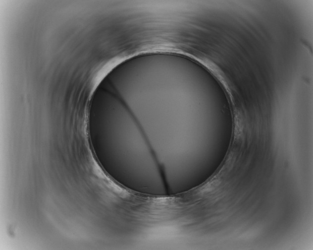 X0000102261390200808011354