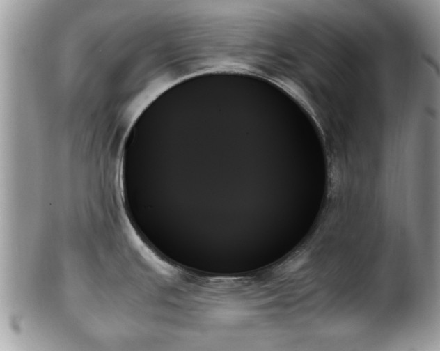 X0000102261391200808011354