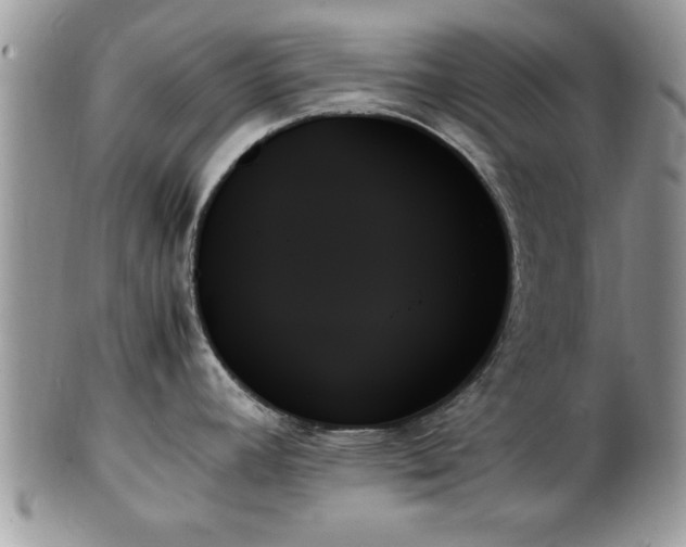 X0000102261392200808011354