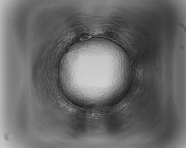 X0000102261393200808011354