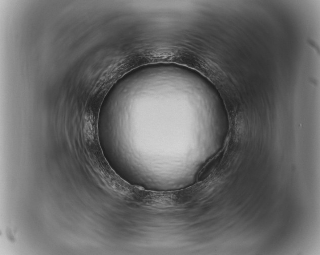 X0000102261394200808011354