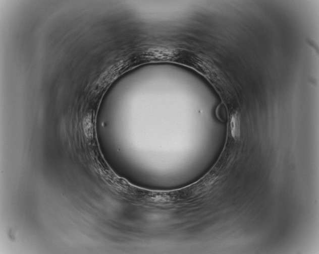 X0000102261395200808011354