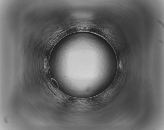 X0000102261396200808011354