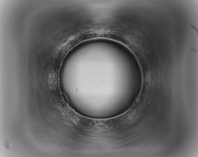 X0000102261398200808011354