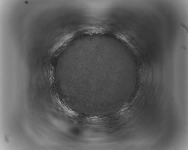 X0000102261399200808011354