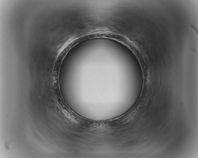 X0000102261400200808011354