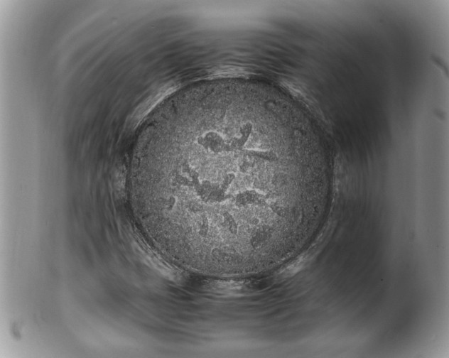 X0000102261401200808011354