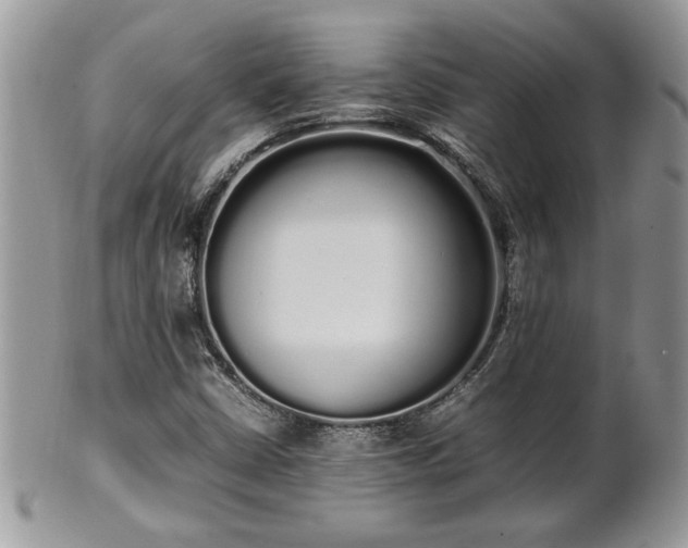 X0000102261402200808011354